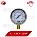 Winters Pressure Gauge 2.5" Stainless Case Brass Socket 0-60 PSI/ 4 KGCM2 1/4 Bottom Connection Liquid Filled