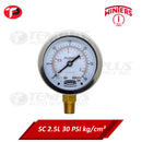 Winters Pressure Gauge 2.5" Stainless Case Brass Socket 0-30 PSI/ 2 KGCM2 1/4 Bottom Connection Liquid Filled