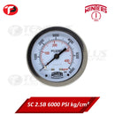 Winters Pressure Gauge 2.5" Stainless Case Brass Socket 0-6000 PSI/ 400 KGCM2 1/4 Center Back Connection Liquid Filled