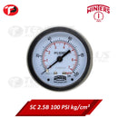 Winters Pressure Gauge 2.5" Stainless Case Brass Socket 0-100 PSI/ 7 KGCM2 1/4 Center Back Connection Liquid Filled