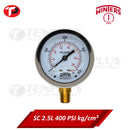 Winters Pressure Gauge 2.5" Stainless Case Brass Socket 0-400 PSI/ 28 KGCM2 1/4 Bottom Connection Liquid Filled