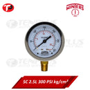 Winters Pressure Gauge 2.5" Stainless Case Brass Socket 0-300 PSI/ 20 KGCM2 1/4 Bottom Connection Liquid Filled